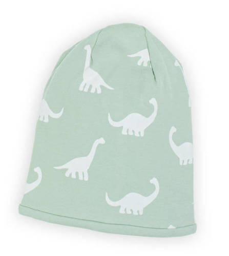 195055 Iwo Czapeczka Nicol