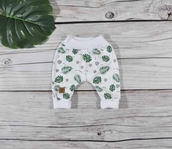 Monstera Spodenki niemowlęce Koala