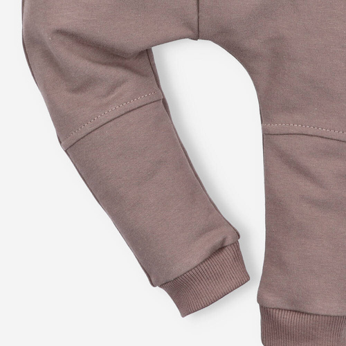 Spodnie dresowe z bawełny organicznej Cute Cars Nini brązowy 