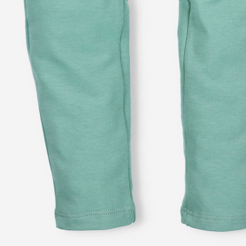 Spodnie dresowe ILC-0018/JZI I Love Colors - zielony