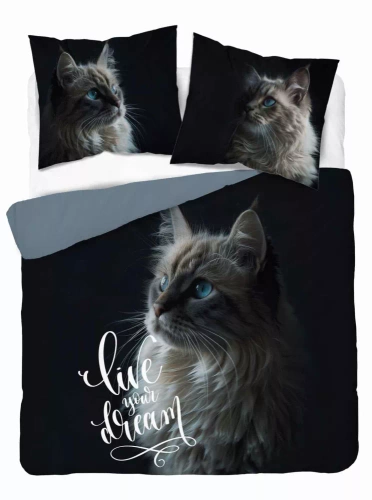 Pościel bawełniana 5296 A Holland kot Live your Dream Detexpol czarny 