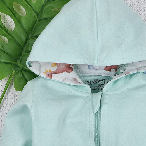 Nini Bluza dresowa Dino Explorer – organiczna bawełna, bluza dziecięca