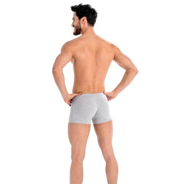 Bokserki męskie Levi Teyli - szare