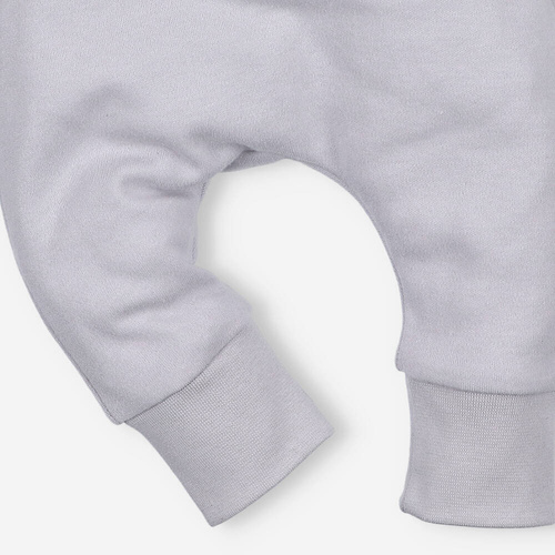 Spodnie dresowe z bawełny organicznej Łąka Nini szary