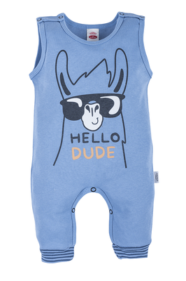 Ogrodniczki "Hello Dude" Makoma niebieski