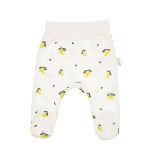 Półśpioch niemowlęcy 212009 Tola Nicol