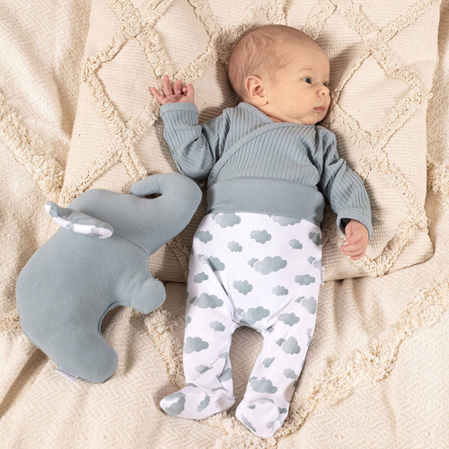 Półśpioch niemowlęcy 205009 Liam Nicol