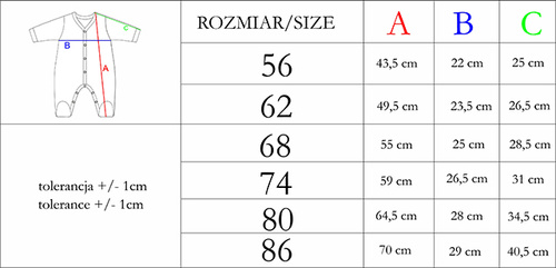 Pajacyk niemowlęcy 209031 Rosy Nicol