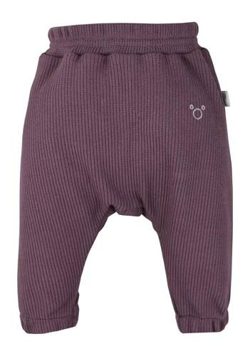 Spodenki bawełniane Pure Koala - śliwka