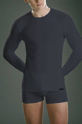 Koszulka męska authentic 214 grafit