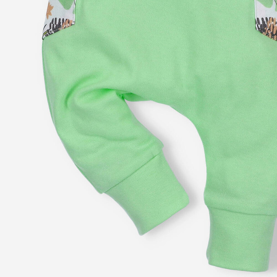 Spodnie dresowe z bawełny organicznej Lion Nini zielony