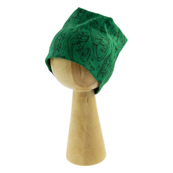 Czapeczka 200070 Tirex Nicol