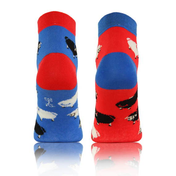 Baranki Owieczki Skarpety krótkie finest cotton dwie różne Sesto Senso niebieski