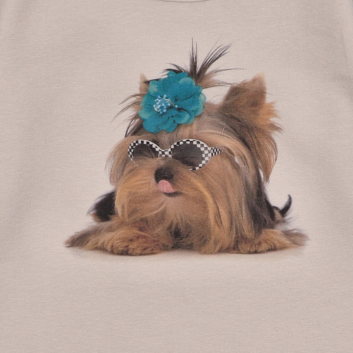 Lagarto Verde bluzka dla dziewczynki z długim rękawem beżowy– modna, bawełniana, trwała