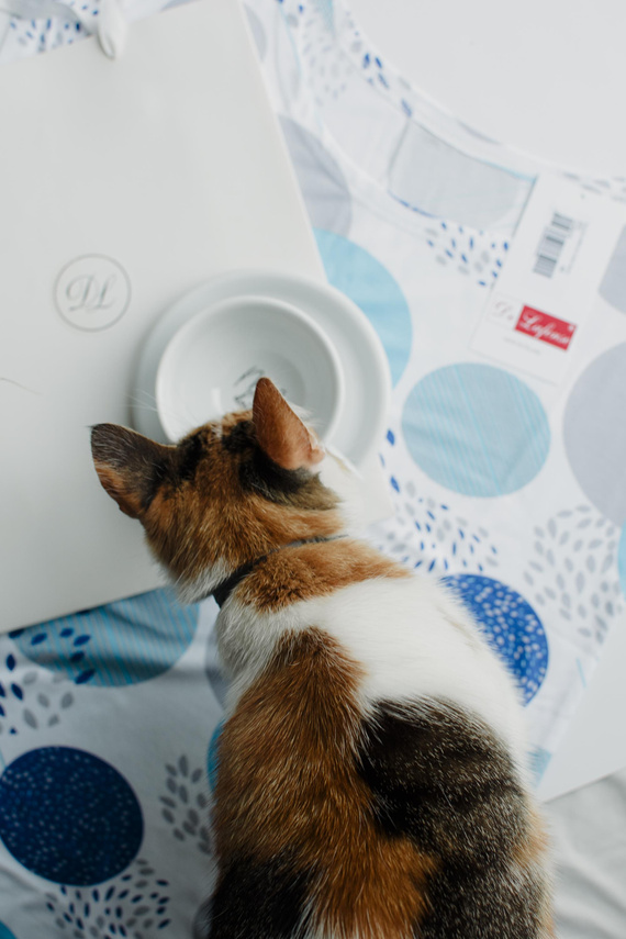 De Lafense 860 Amelia – koszula nocna damska z wiskozy, krótki rękaw