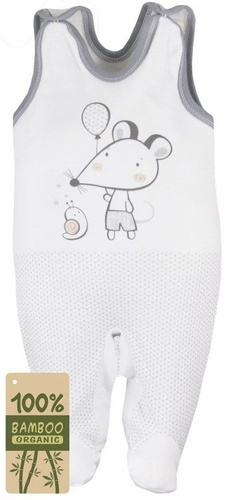 Śpioch bambusowy "MYSZKA I ŚLIMAK"  Koala niebieski