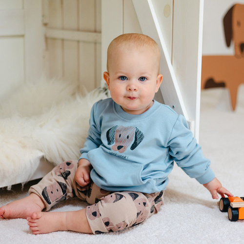 Bluza dresowa dla chłopca Puppy Playtime  Eevi - niebieska