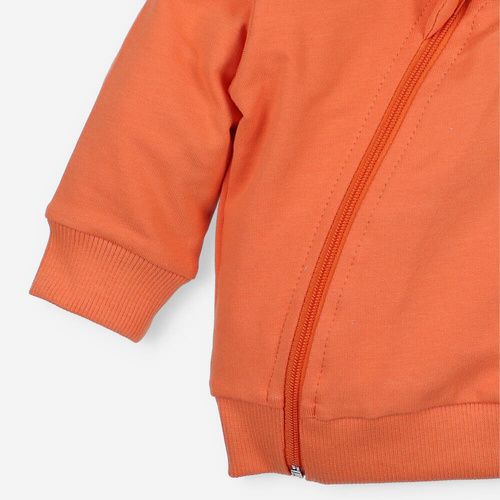 Bluza z bawełny organicznej Lion Nini zielony