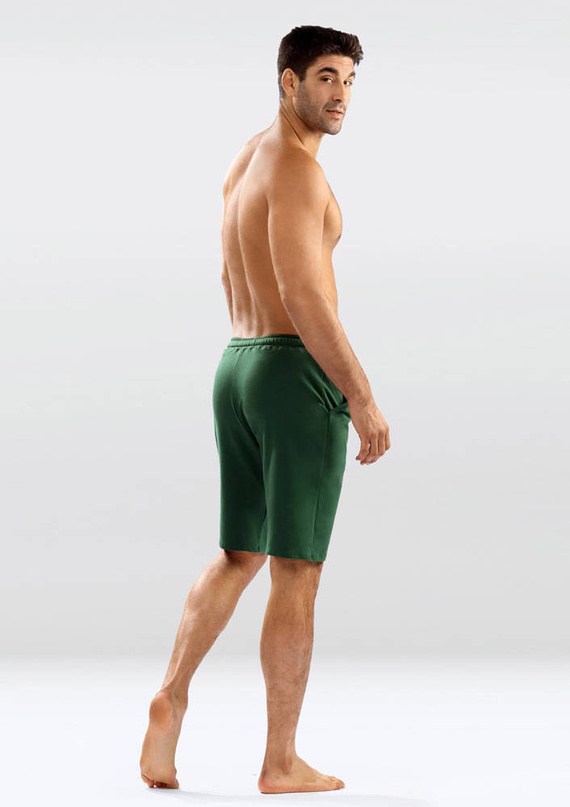 Spodenki męskie Samuel Dkaren zielony