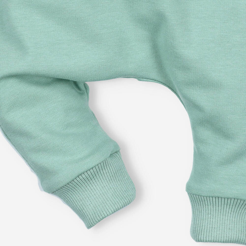 Spodnie dresowe z bawełny organicznej Nini zielony