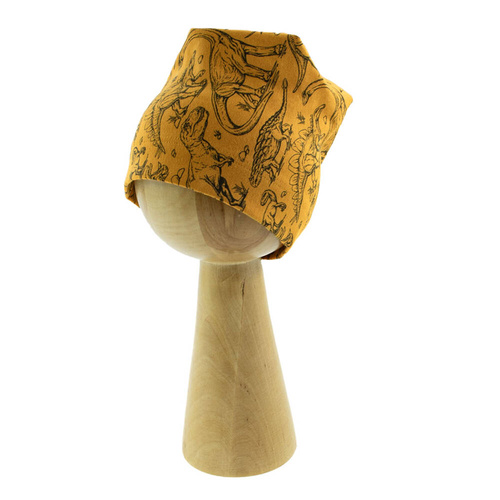 Czapeczka 200060 Tirex Nicol