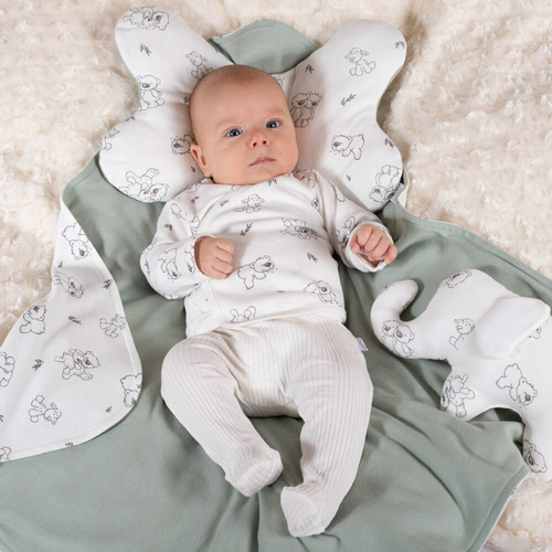 Półśpioch niemowlęcy 202010 Olaf Nicol