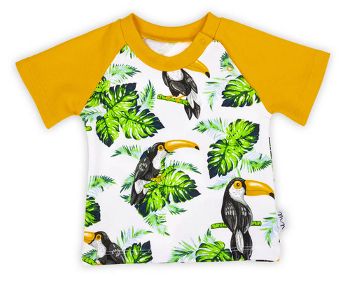 186138 Tukan Bluzka z krótkim rękawem Nicol