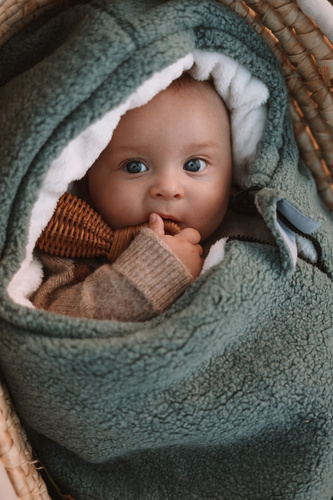 Śpiworek do wózka Alpaka Gray Sage Makaszka