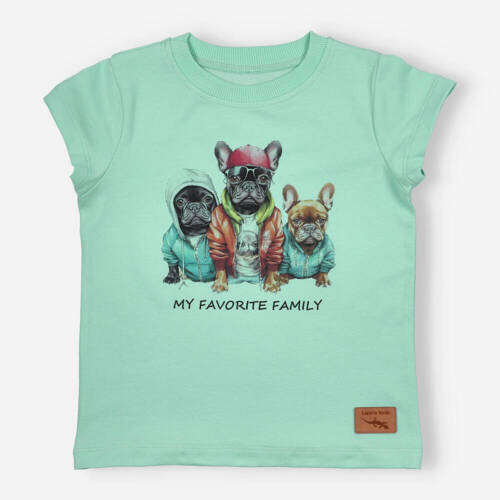 T-shirt dla chłopca KAR-2002/PIS Lagarto Verde pistacjowy