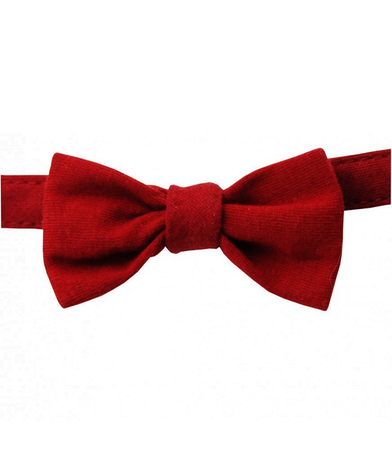 0418/5 Little Gentleman Muszka Marija - bordo