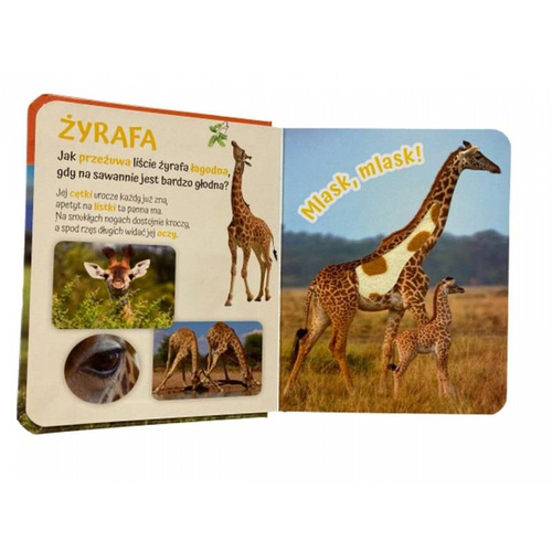 Książka sensoryczna "Pogłaszcz zwierzątko na łące" Awm Wydawnictwo