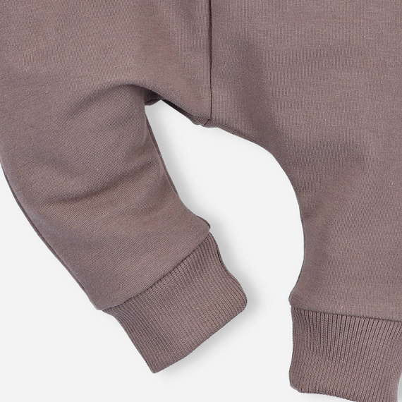 Spodnie dresowe z bawełny organicznej Happy Apples Nini beżowy