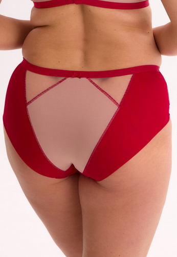 Figi damskie Aina GFP 1273 – mikrofibra, koronka, siateczka