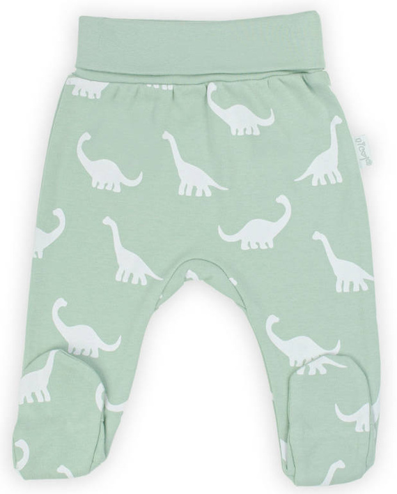 Półśpioch niemowlęcy 195009 Iwo Nicol