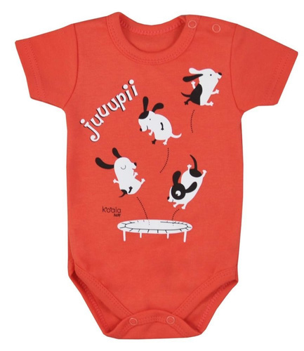 "JUPI LATO" Body niemowlęce krótki rękaw  Koala- czerwony