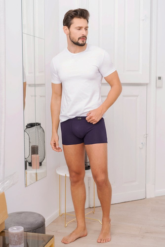 Koszulka męska, krótki rękaw Ikar Italian Fashion - biały  