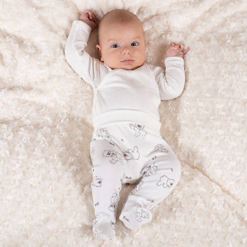 Półśpioch niemowlęcy 202009 Olaf Nicol