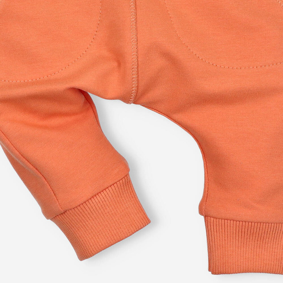 Spodnie dresowe z bawełny organicznej Lion Nini pomarańczowy