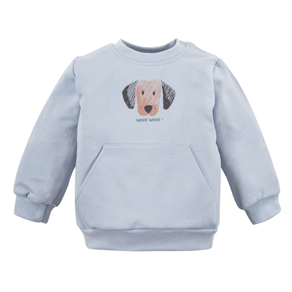 Bluza dresowa dla chłopca Puppy Playtime Eevi - niebieska