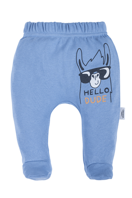 Półśpioch niemowlęcy  "Hello Dude"  Makoma niebieski