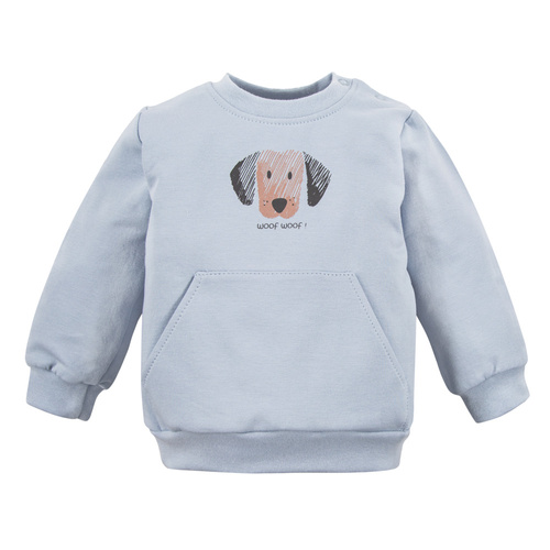 Bluza dresowa dla chłopca Puppy Playtime  Eevi - niebieska 