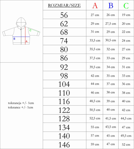 Bluza dresowa 169537 Nicol - szary