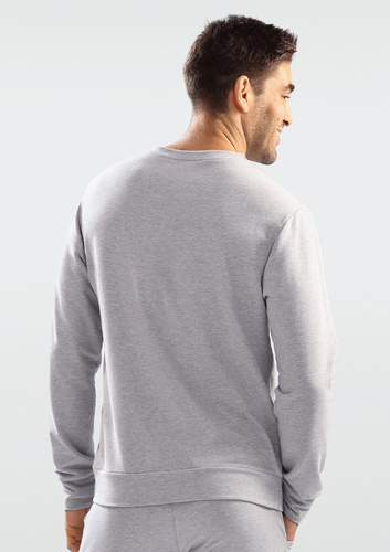 Bluza męska Justin Dkaren - szary