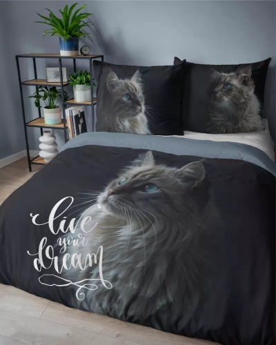 Pościel bawełniana 5296 A Holland kot Live your Dream Detexpol czarny 