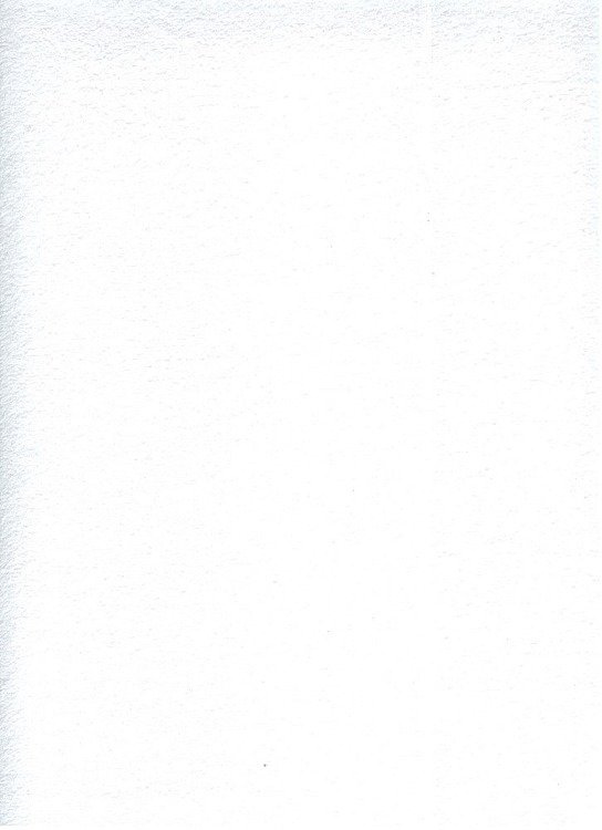 Prześcieradło frotte z gumką KARO - biały