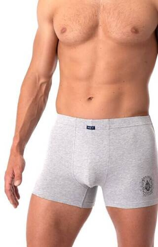 Bokserki męskie MXH 254 Key - szary