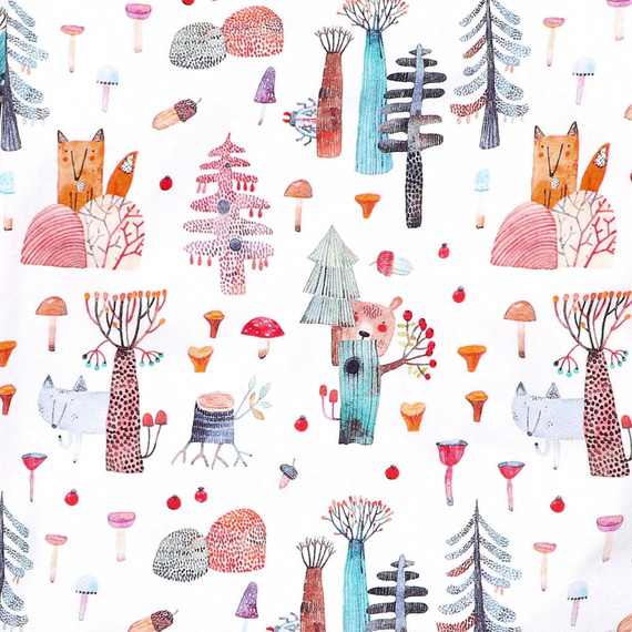 Bluzka chłopięca z długim rękawem I love Colors - las II