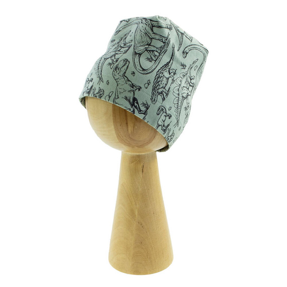 Czapeczka 200050 Tirex Nicol