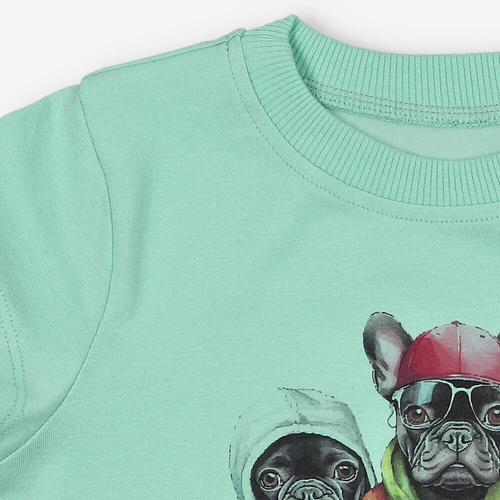 T-shirt dla chłopca KAR-2002/PIS Lagarto Verde pistacjowy 