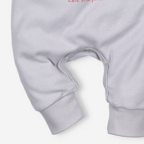 Śpiochy z bawełny organicznej Łąka Nini szary